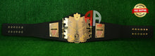Load image into Gallery viewer, AWA World Heavyweight Wrestling Championship Belt DG-5000
